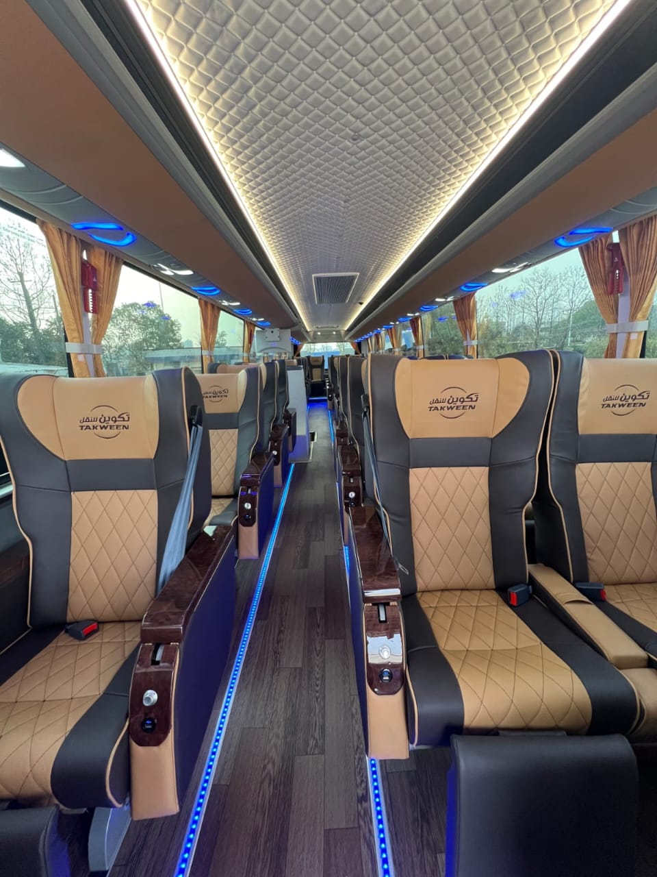 باص VIP